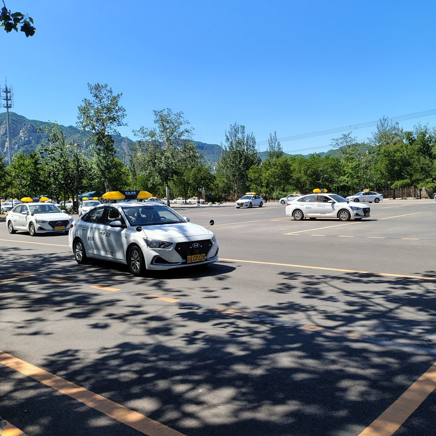 C1传统教学平日班训练场景