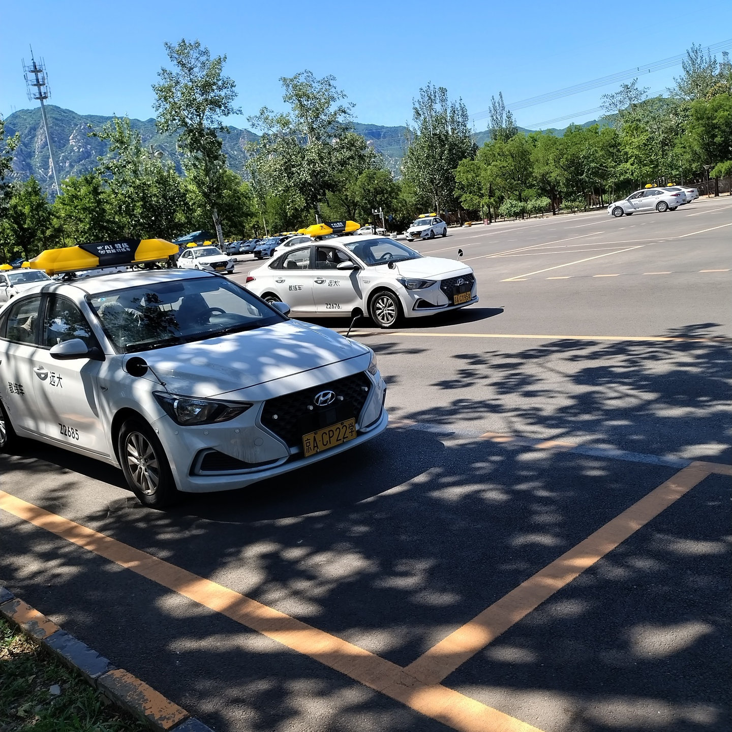 远大驾校汽车训练场景