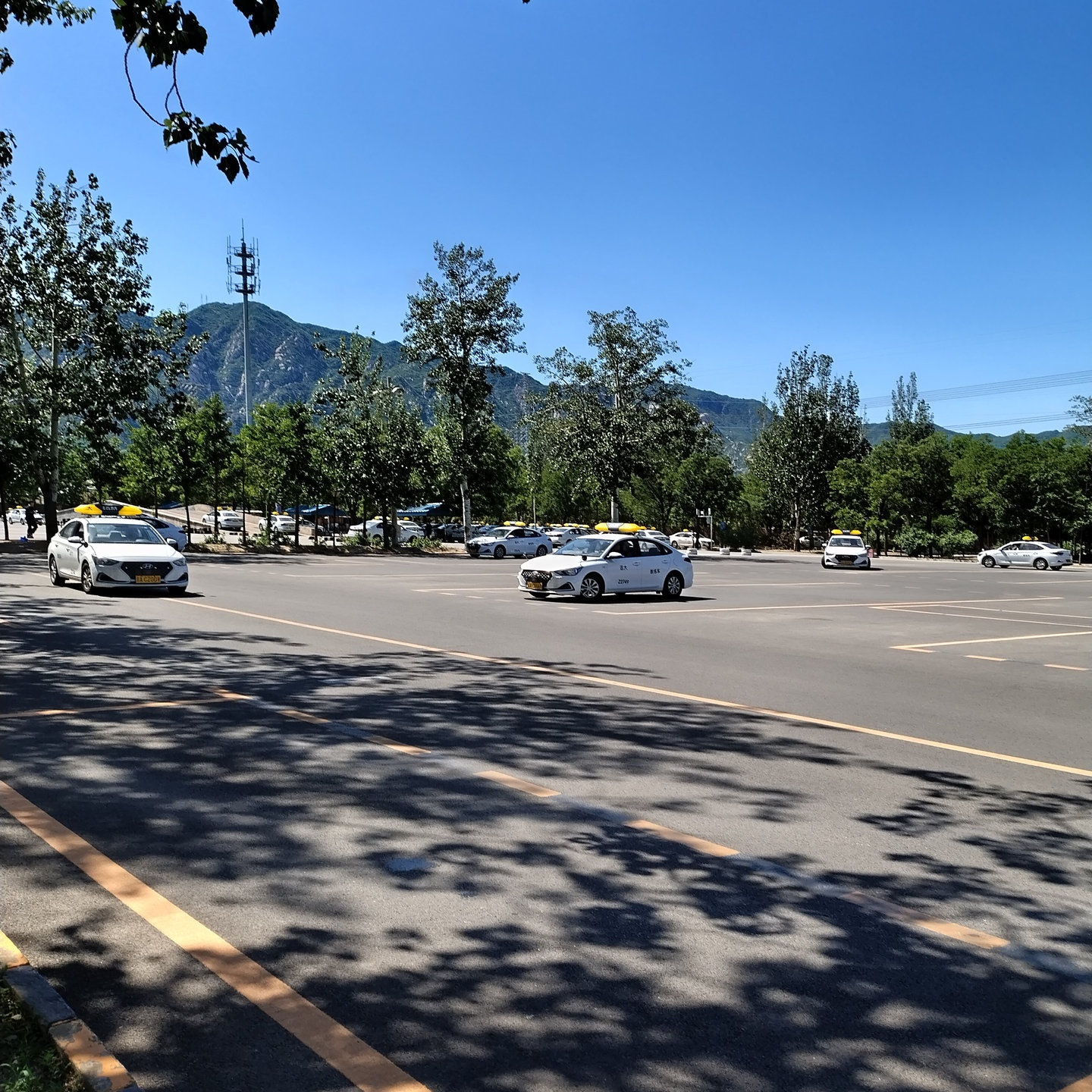 C1传统教学平日班训练场景