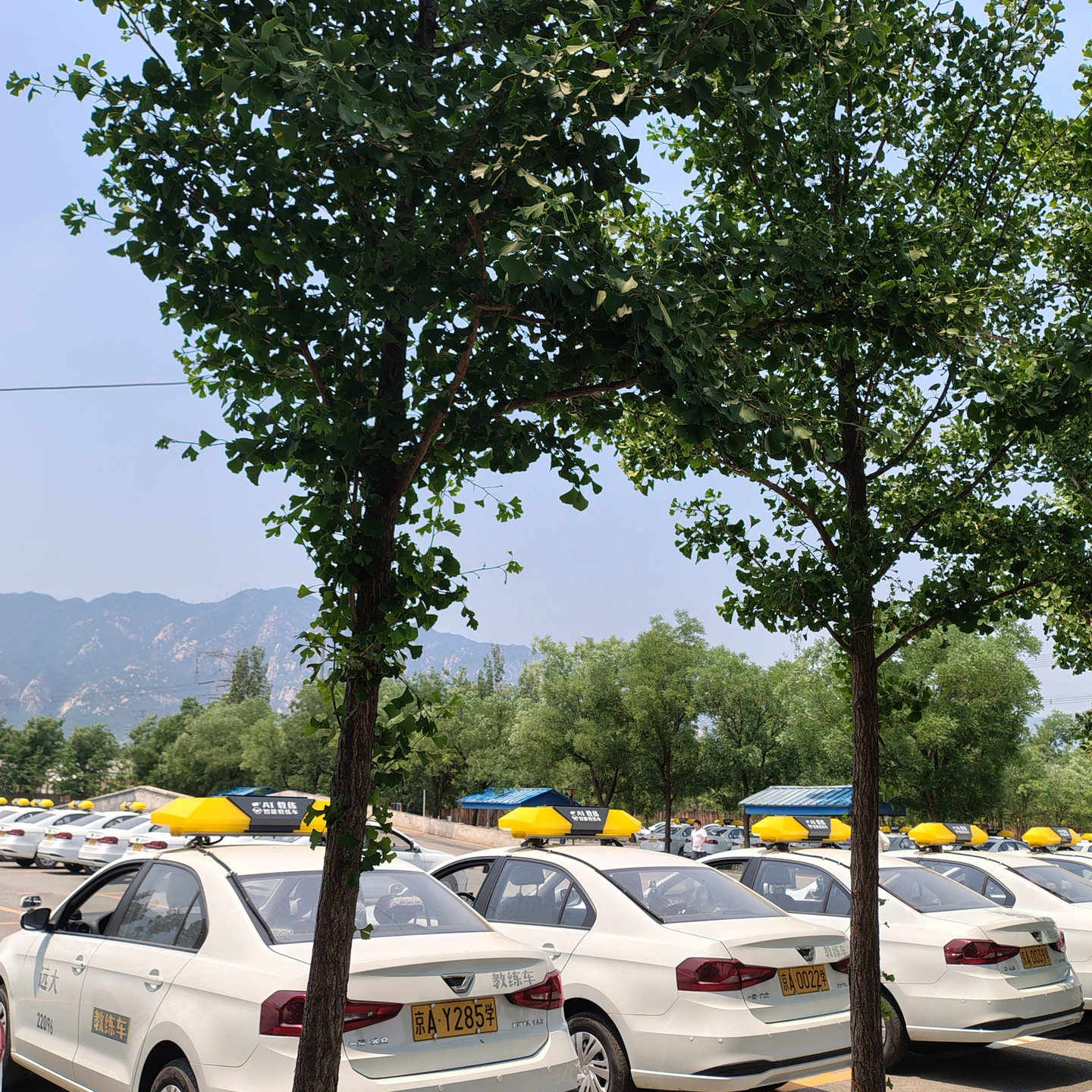 C1暑假学生团报班训练场景
