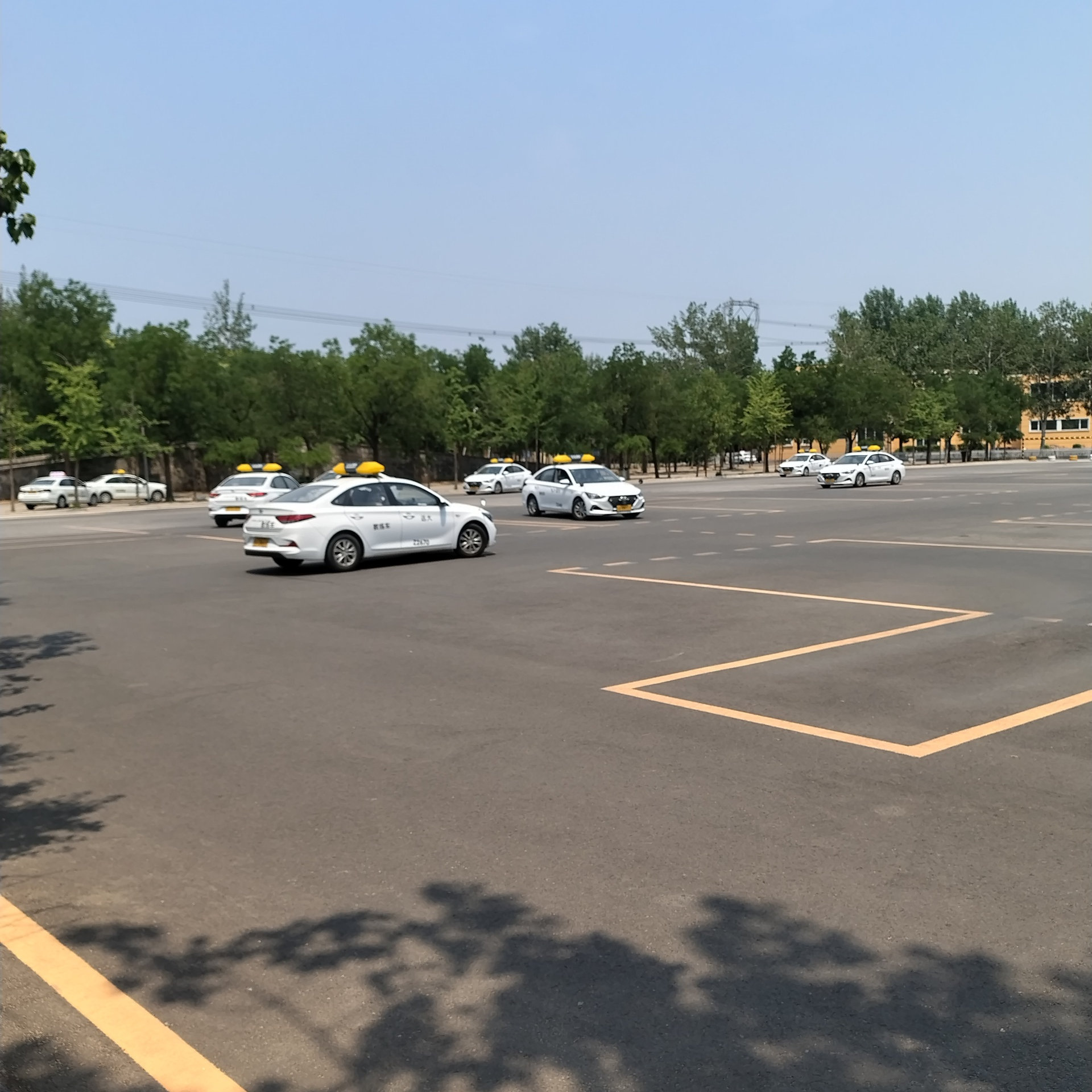 C1暑假学生团报班训练场景
