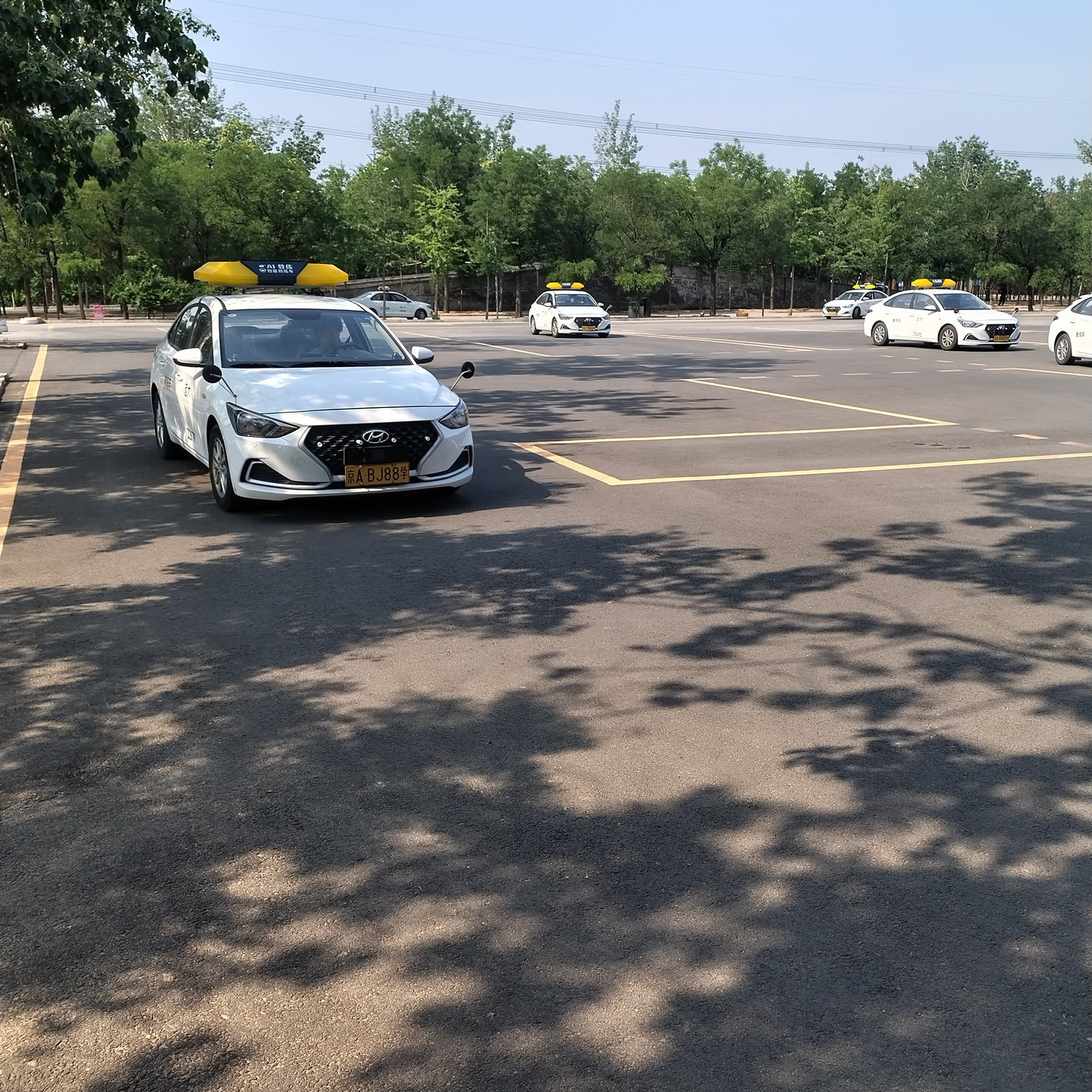 C1暑假学生团报班训练场景