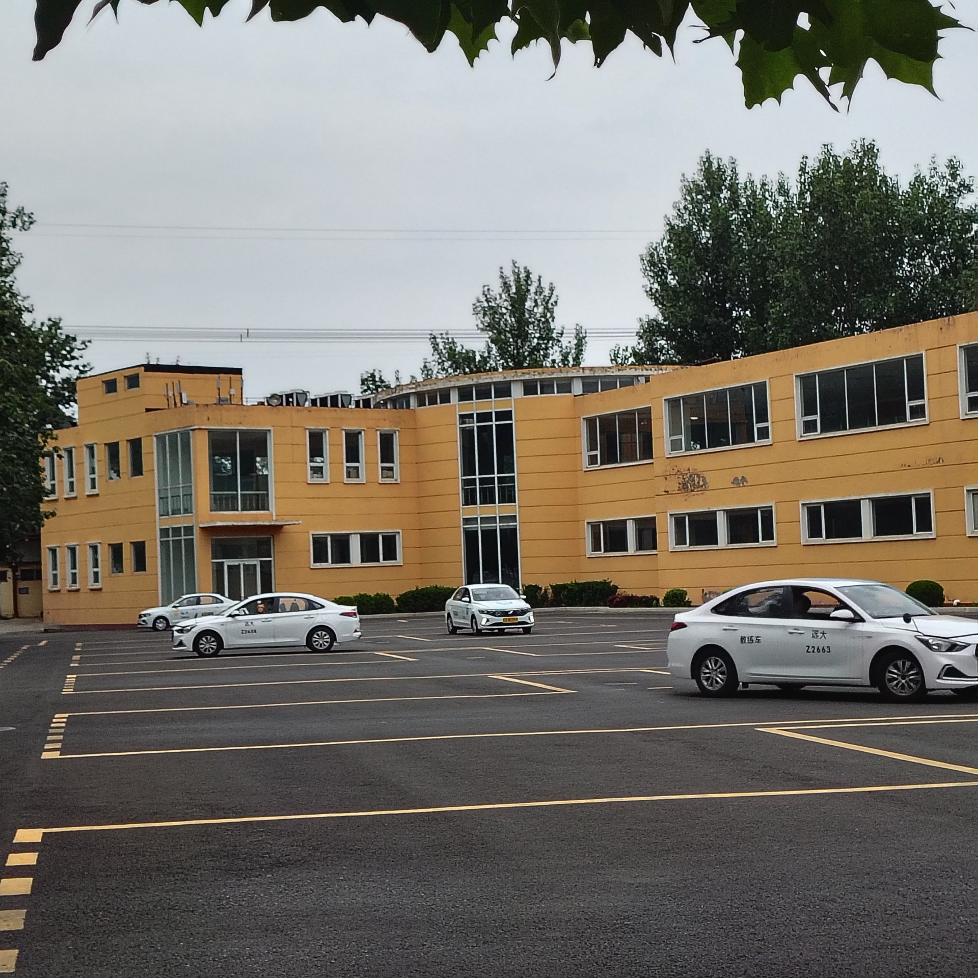 C1传统教学平日班训练场景
