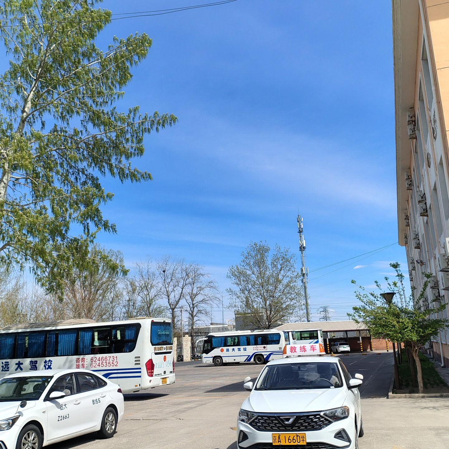 C1暑假学生团报班训练场景