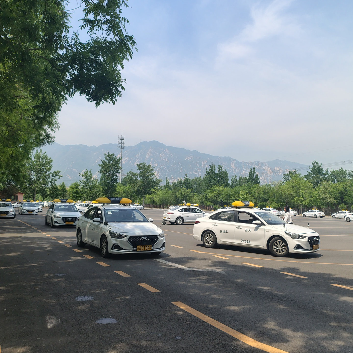 C1暑假学生团报班训练场景