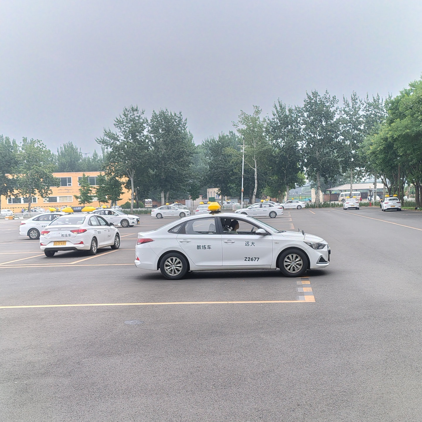 C1传统教学平日班训练场景