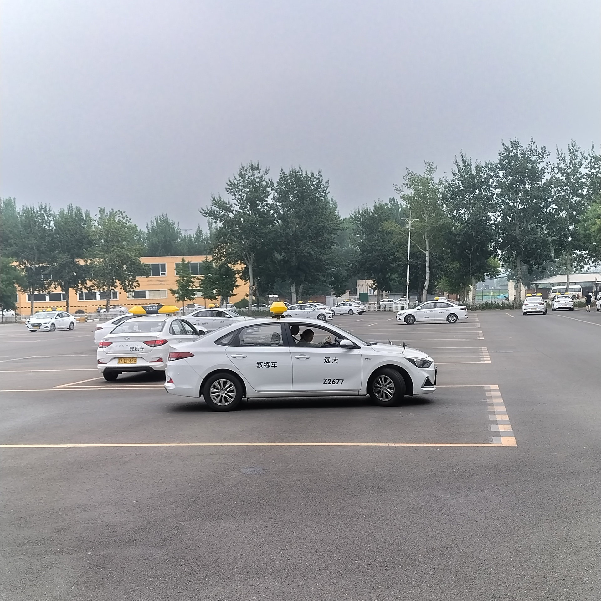 C1传统教学平日班训练场景
