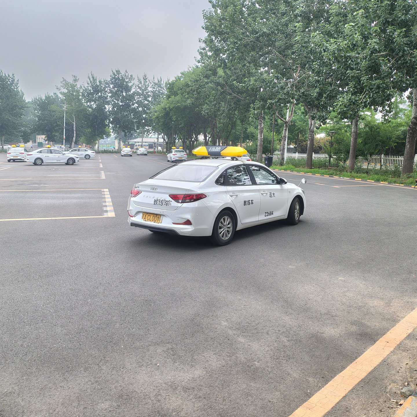 C1暑假学生团报班训练场景