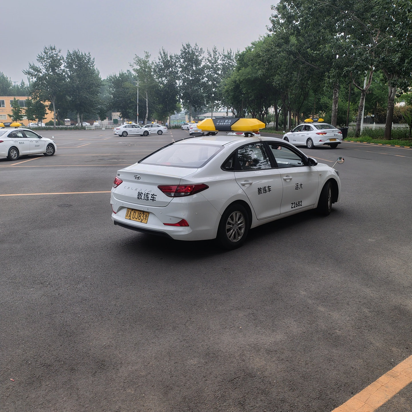 远大驾校汽车训练场景
