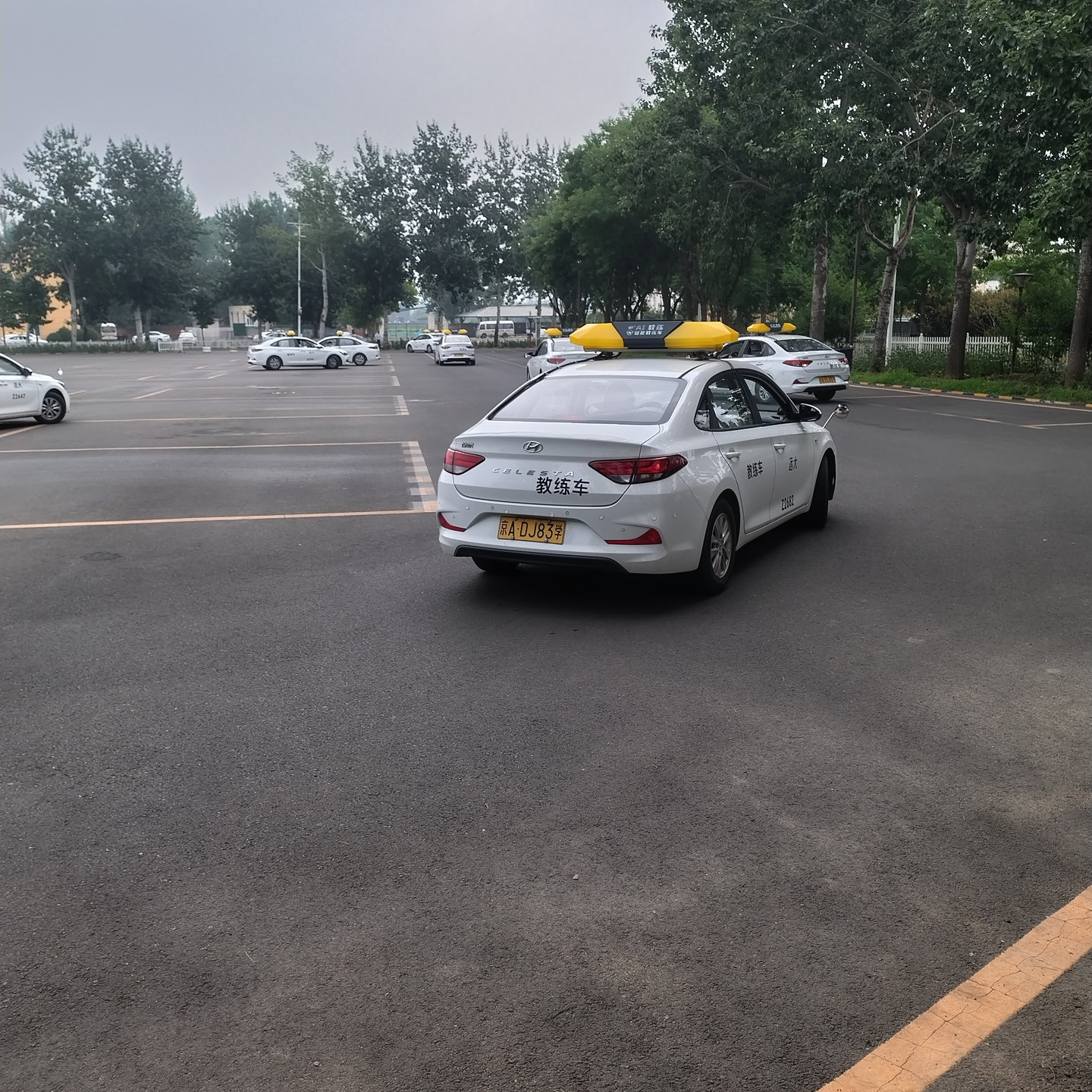 远大驾校汽车训练场景