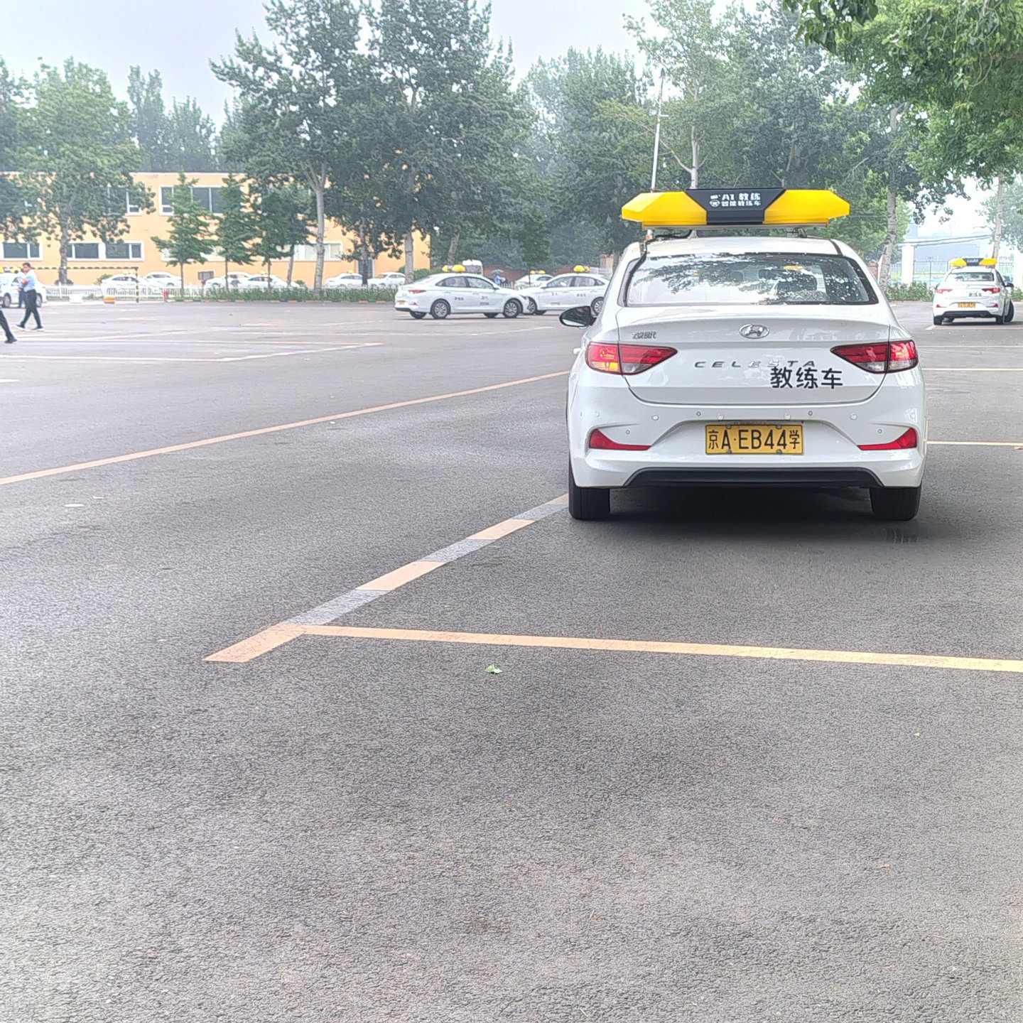 C1暑假学生团报班训练场景