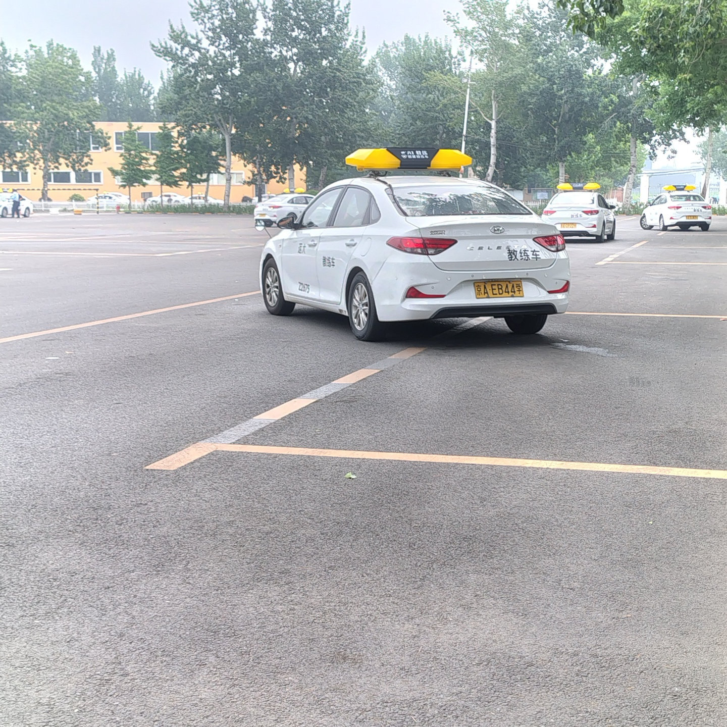 C1暑假学生团报班训练场景