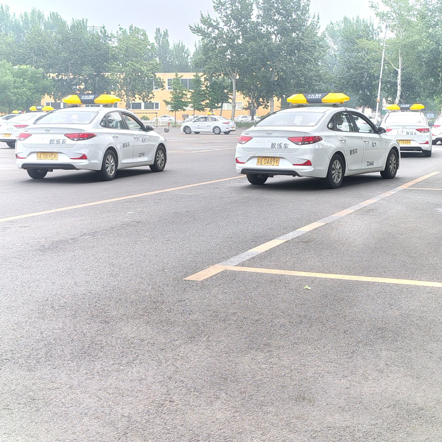 远大驾校汽车训练场景