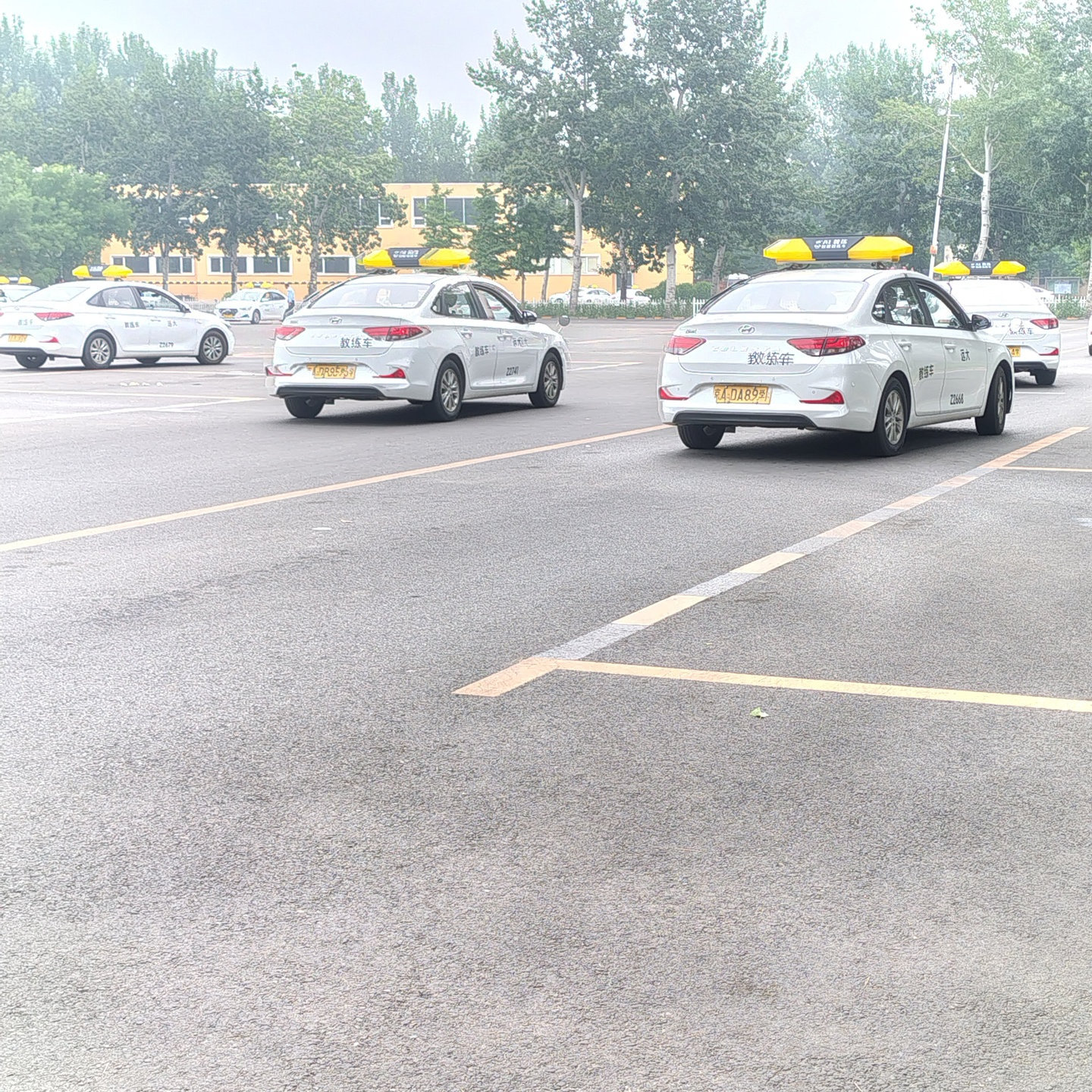 C2暑假学生团报班训练场景