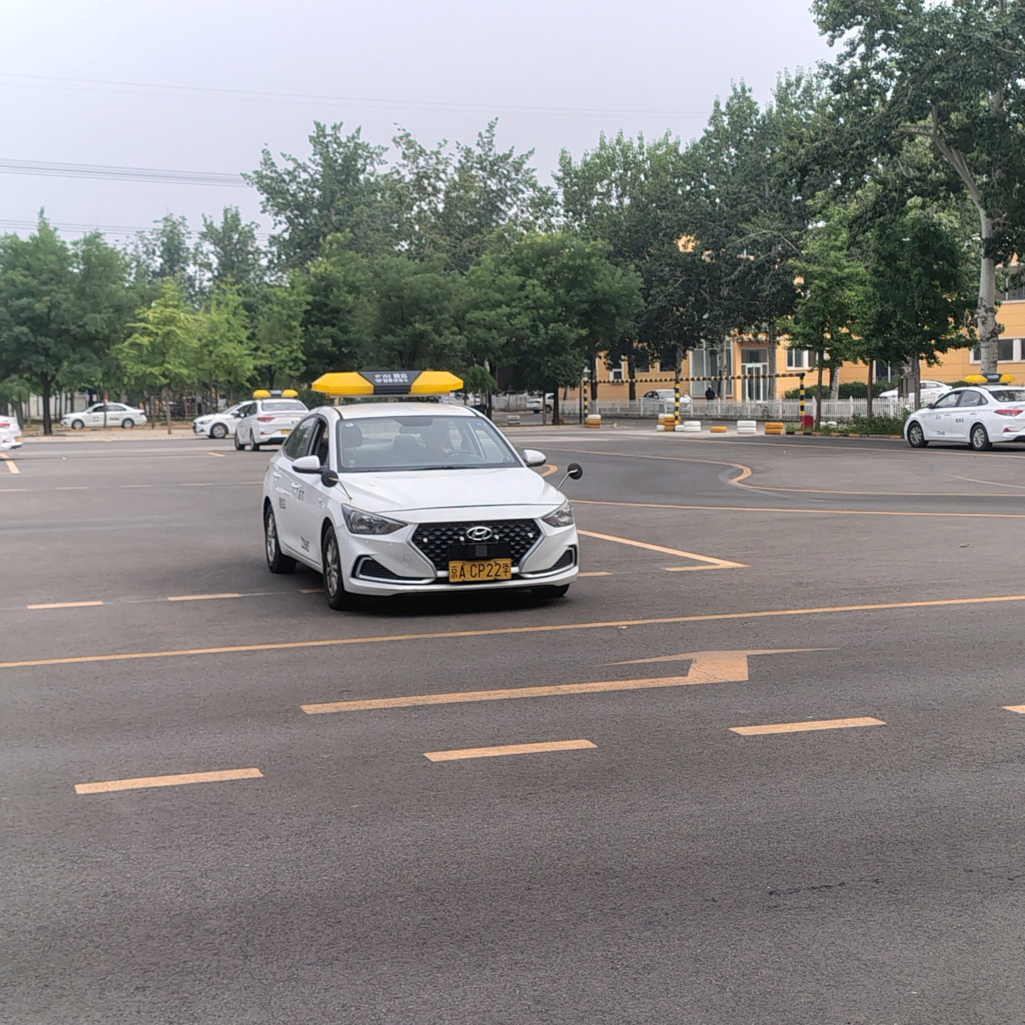 远大驾校汽车训练场景