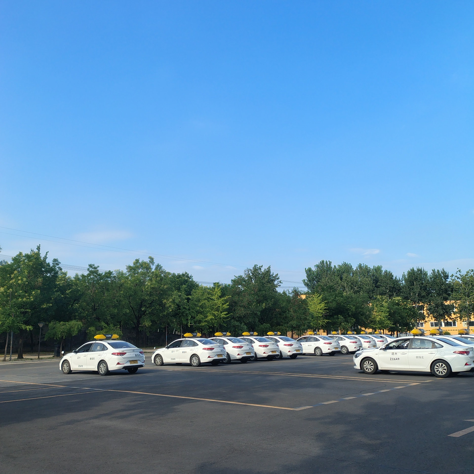 C1传统教学平日班训练场景