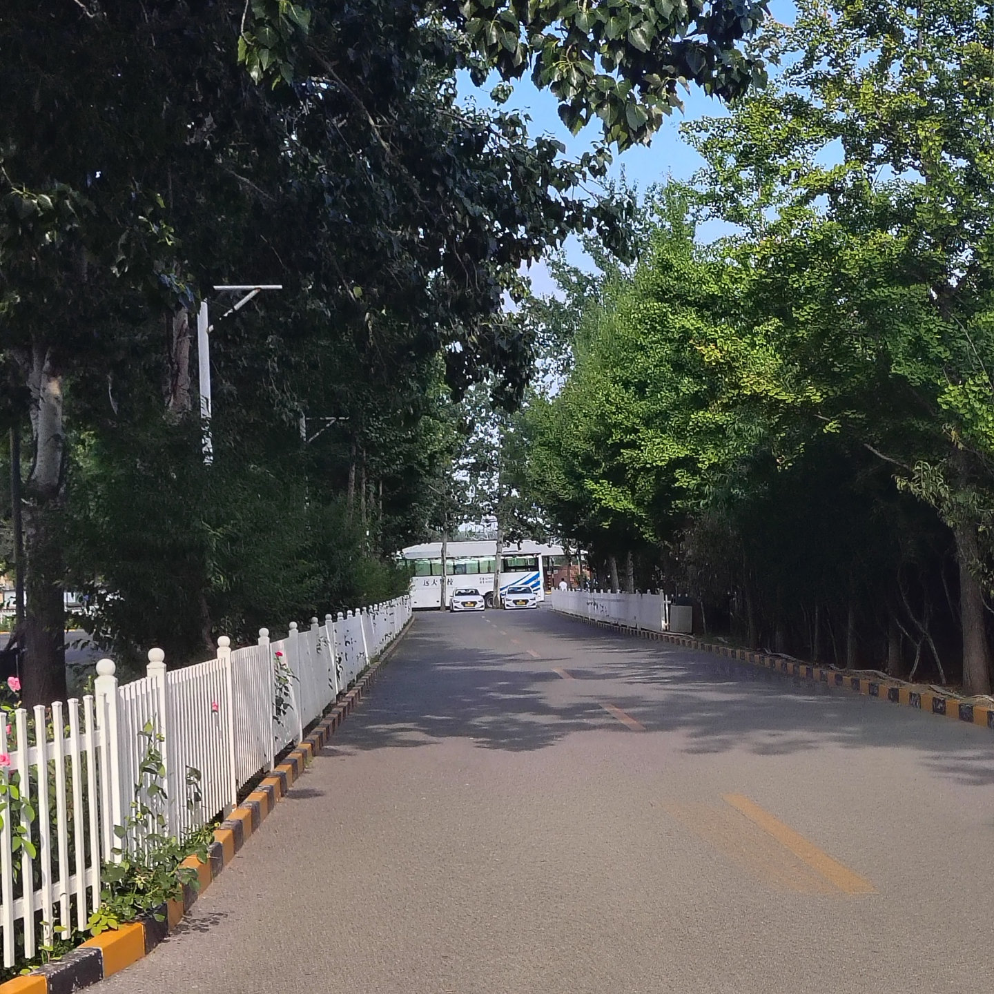 C2传统教学平日班训练场景