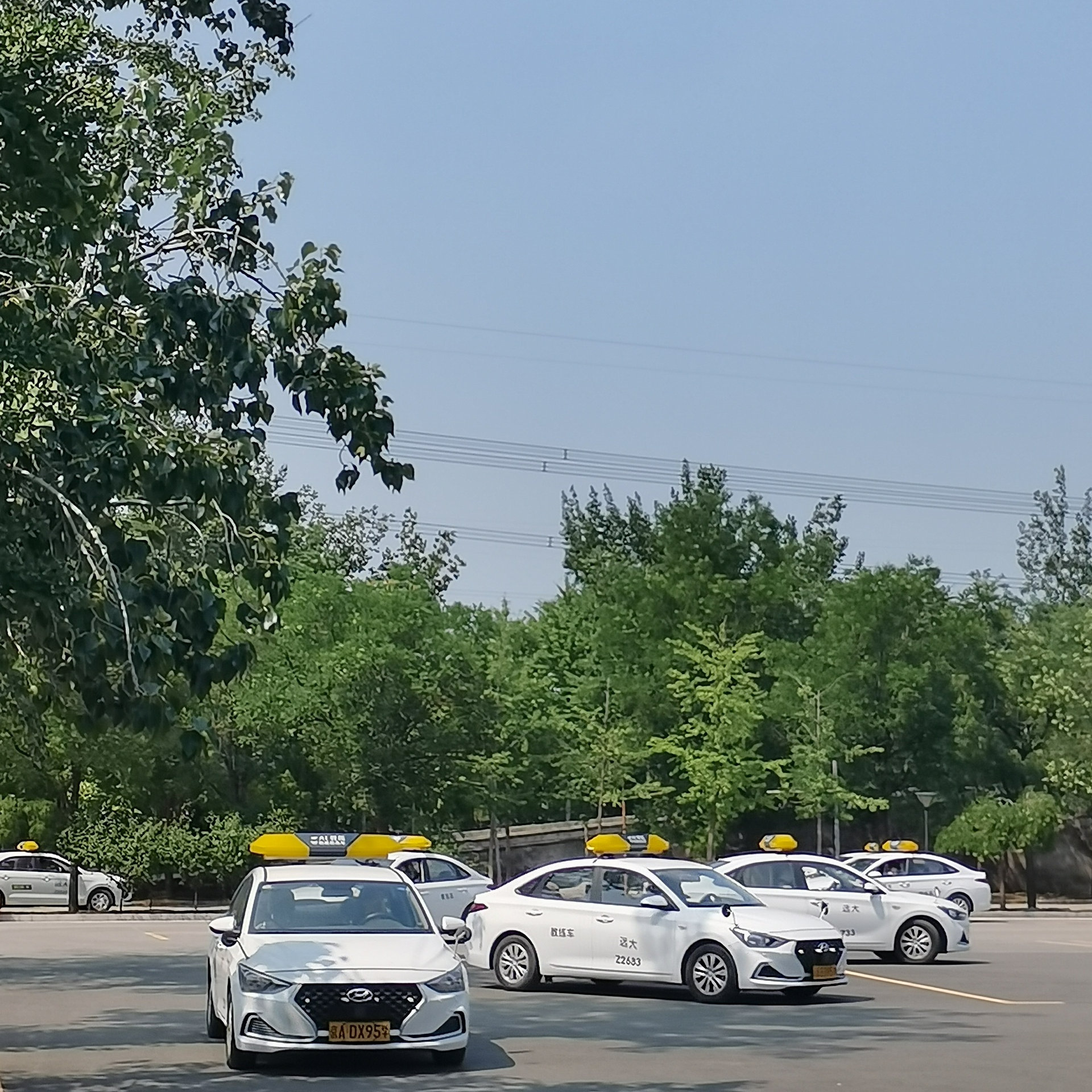 远大驾校汽车训练场景