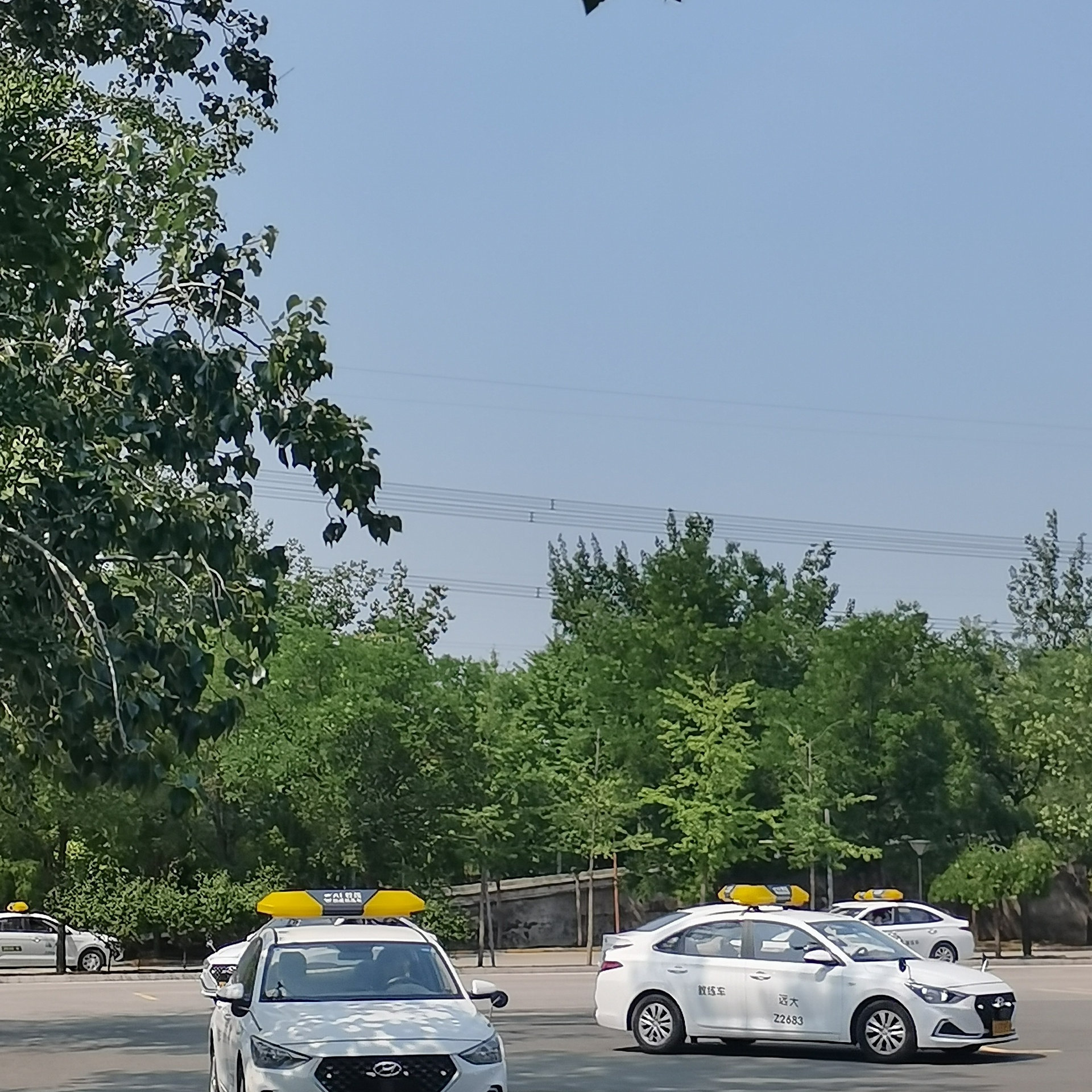 C2暑假学生团报班训练场景