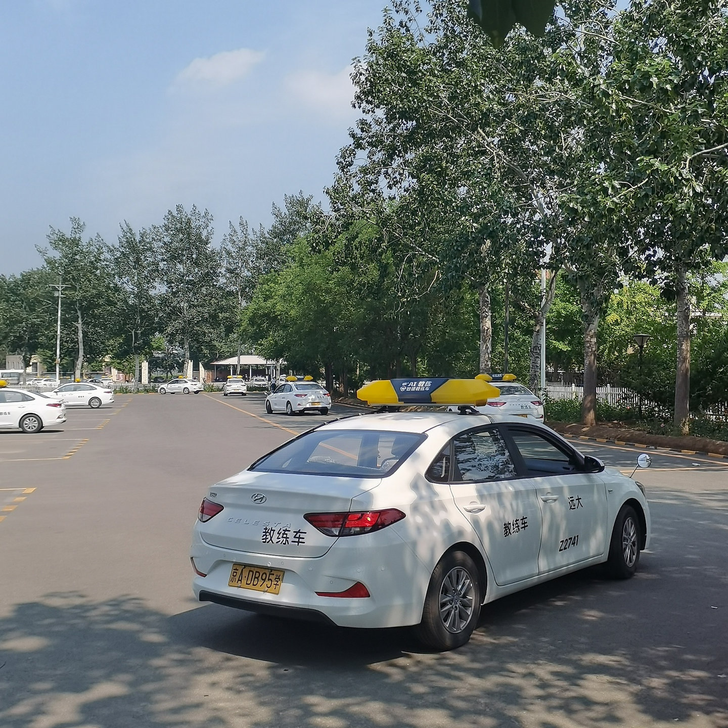 C1暑假学生团报班训练场景