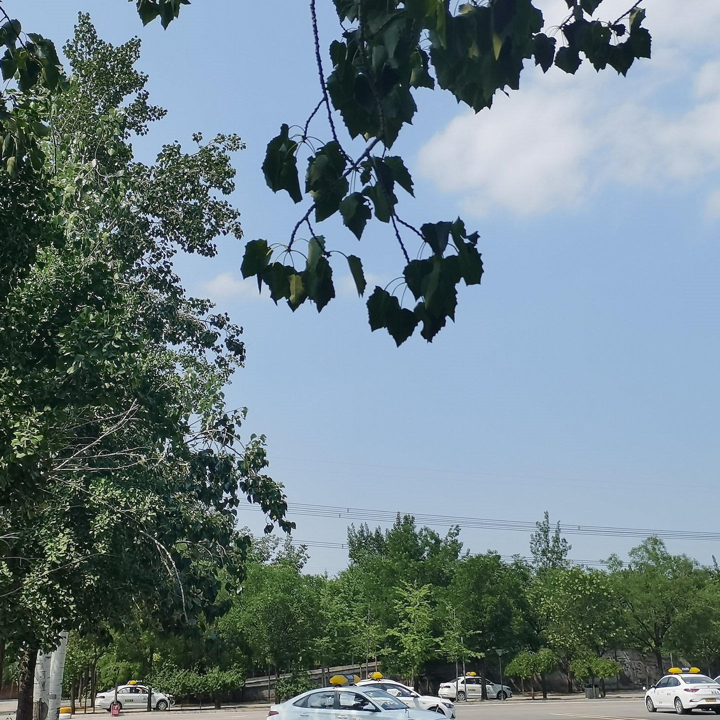 C1暑假学生团报班训练场景