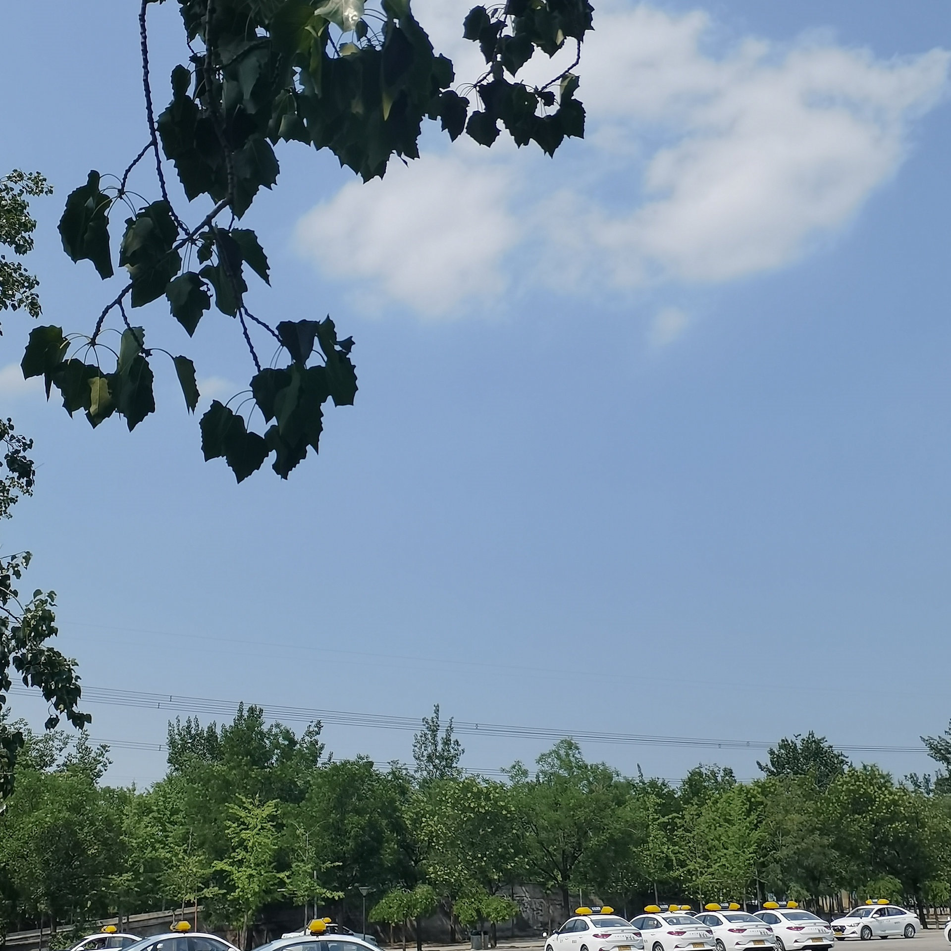 C2传统教学平日班训练场景
