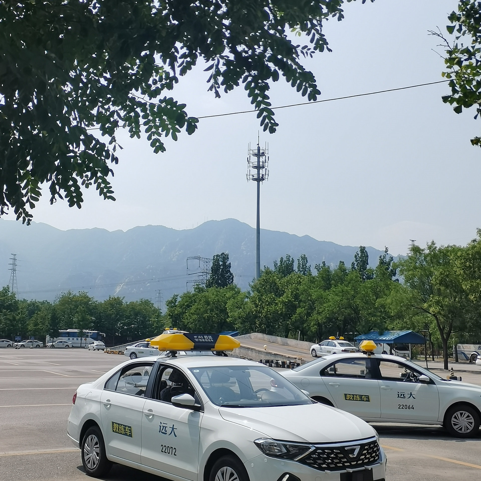 C1传统教学平日班训练场景