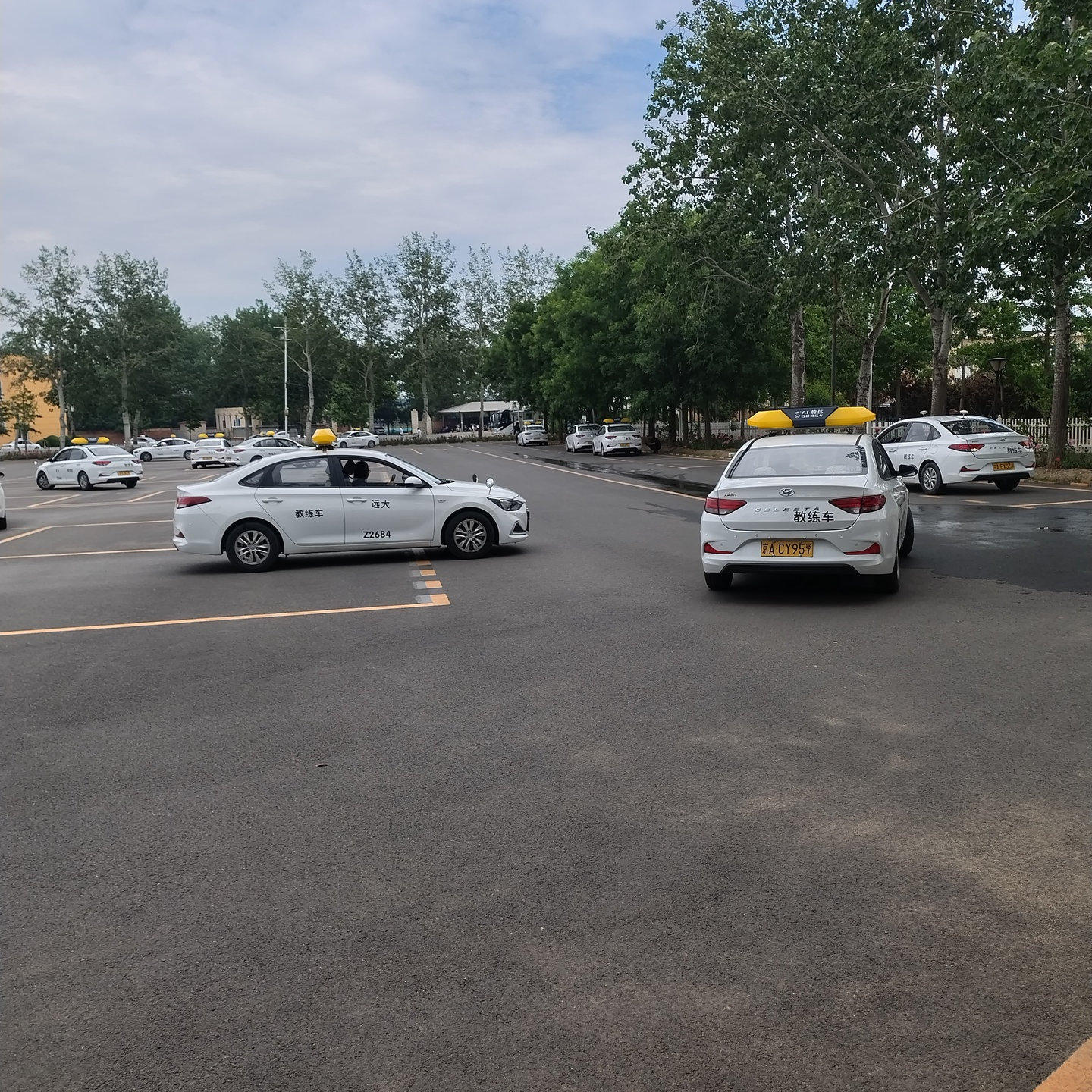 远大驾校汽车训练场景