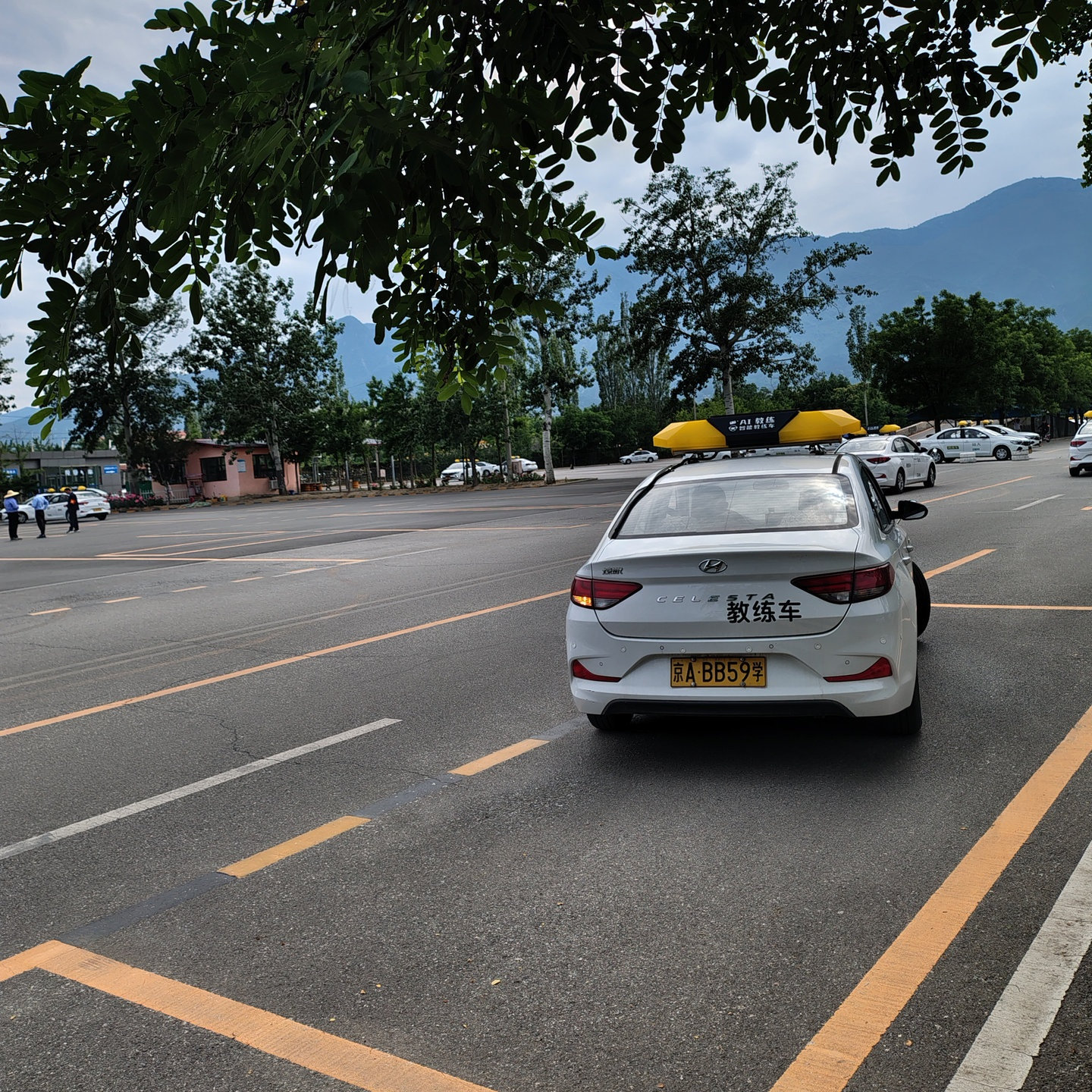 C2暑假学生团报班训练场景