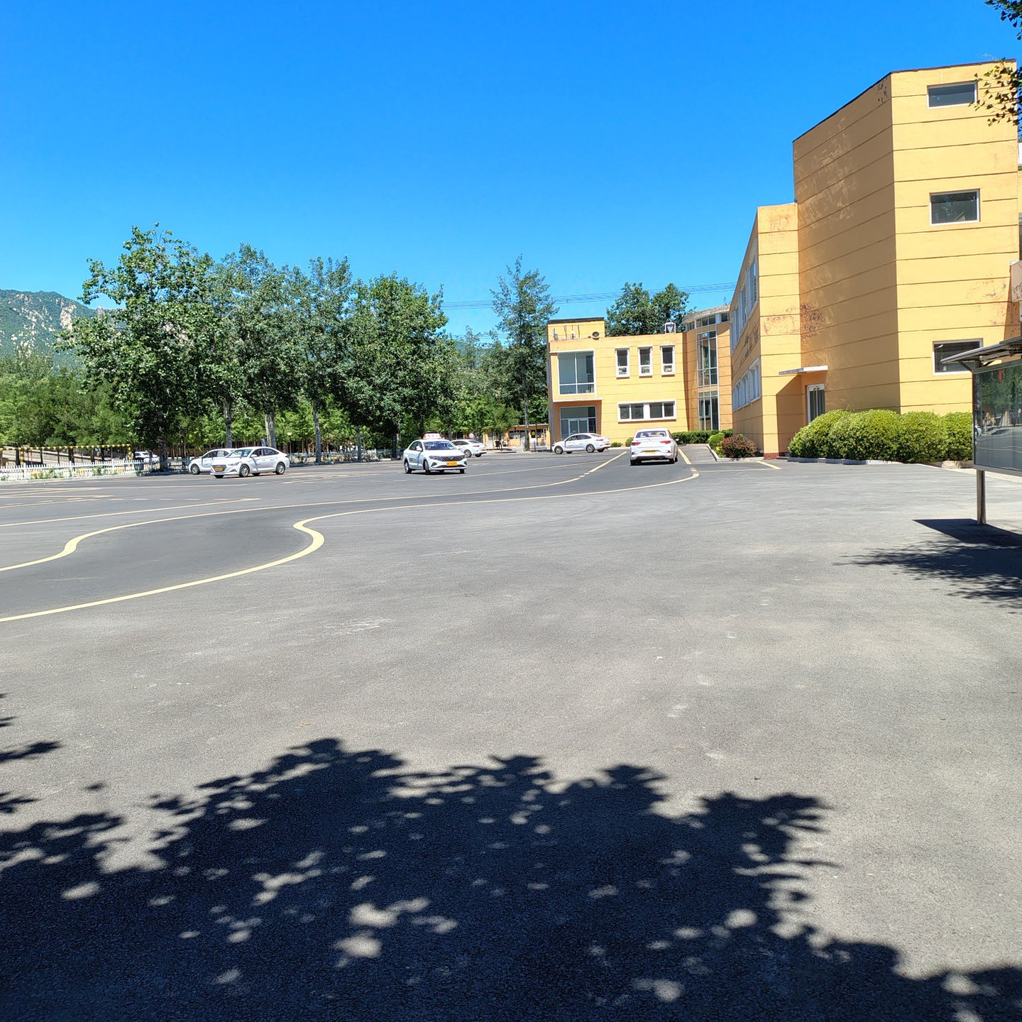 C1暑假学生团报班训练场景