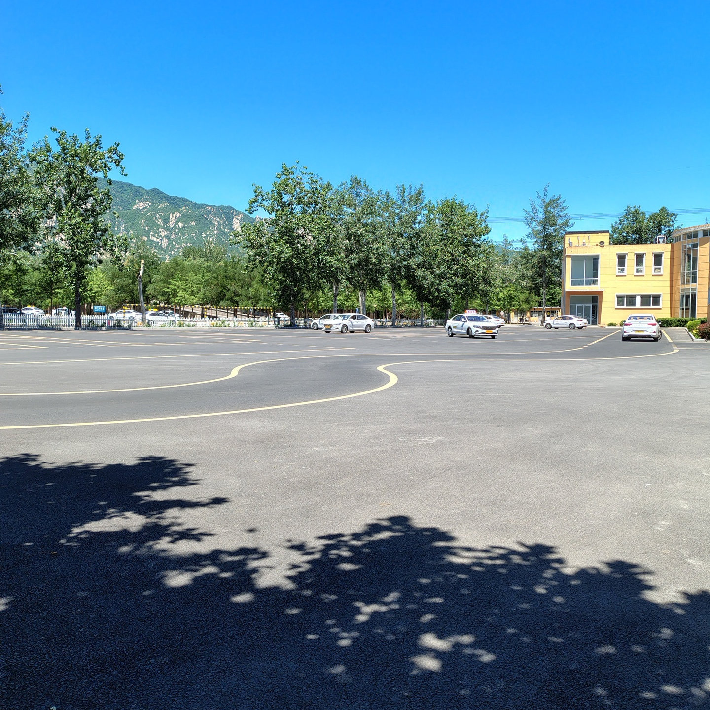 C1暑假学生团报班训练场景
